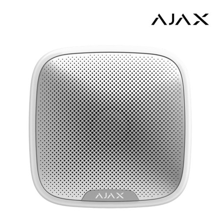 AJAX19_1